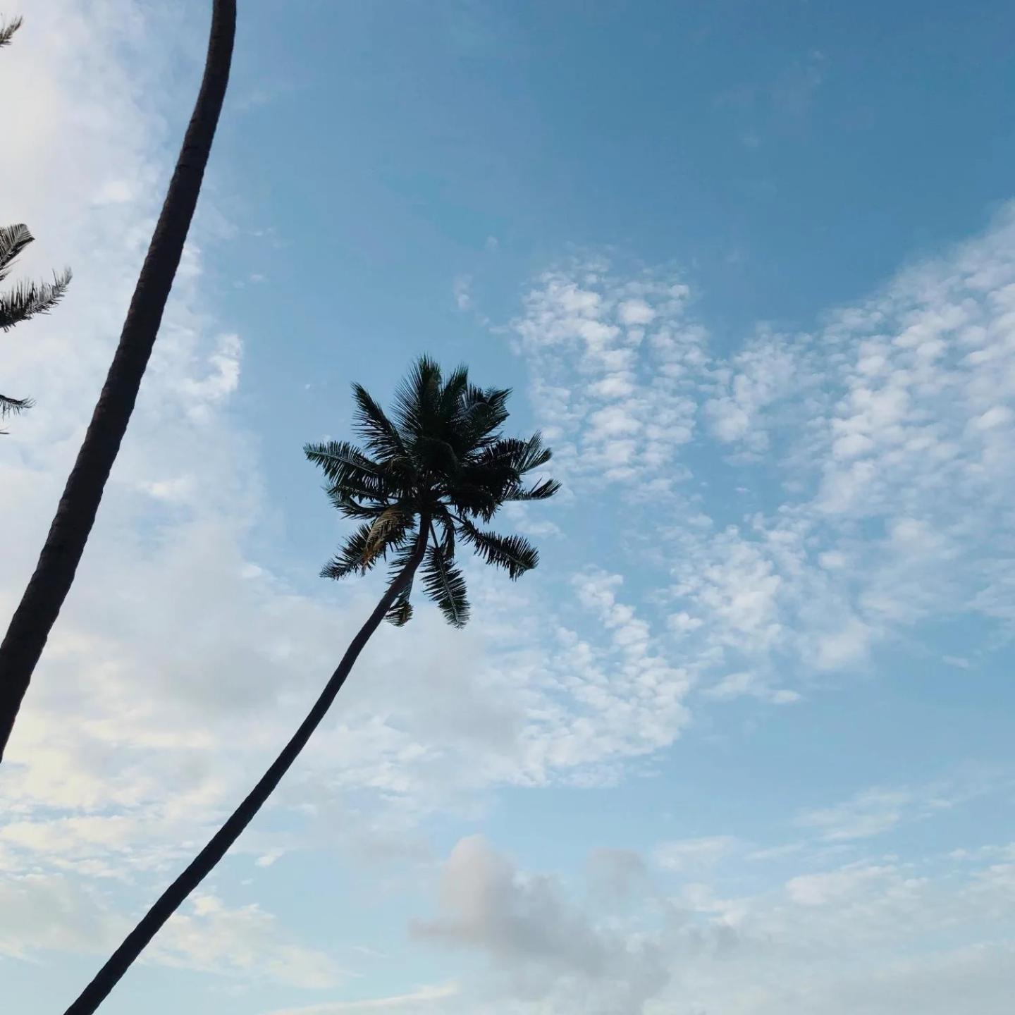 Kudhi Boli Beach House Thulusdhoo Esterno foto